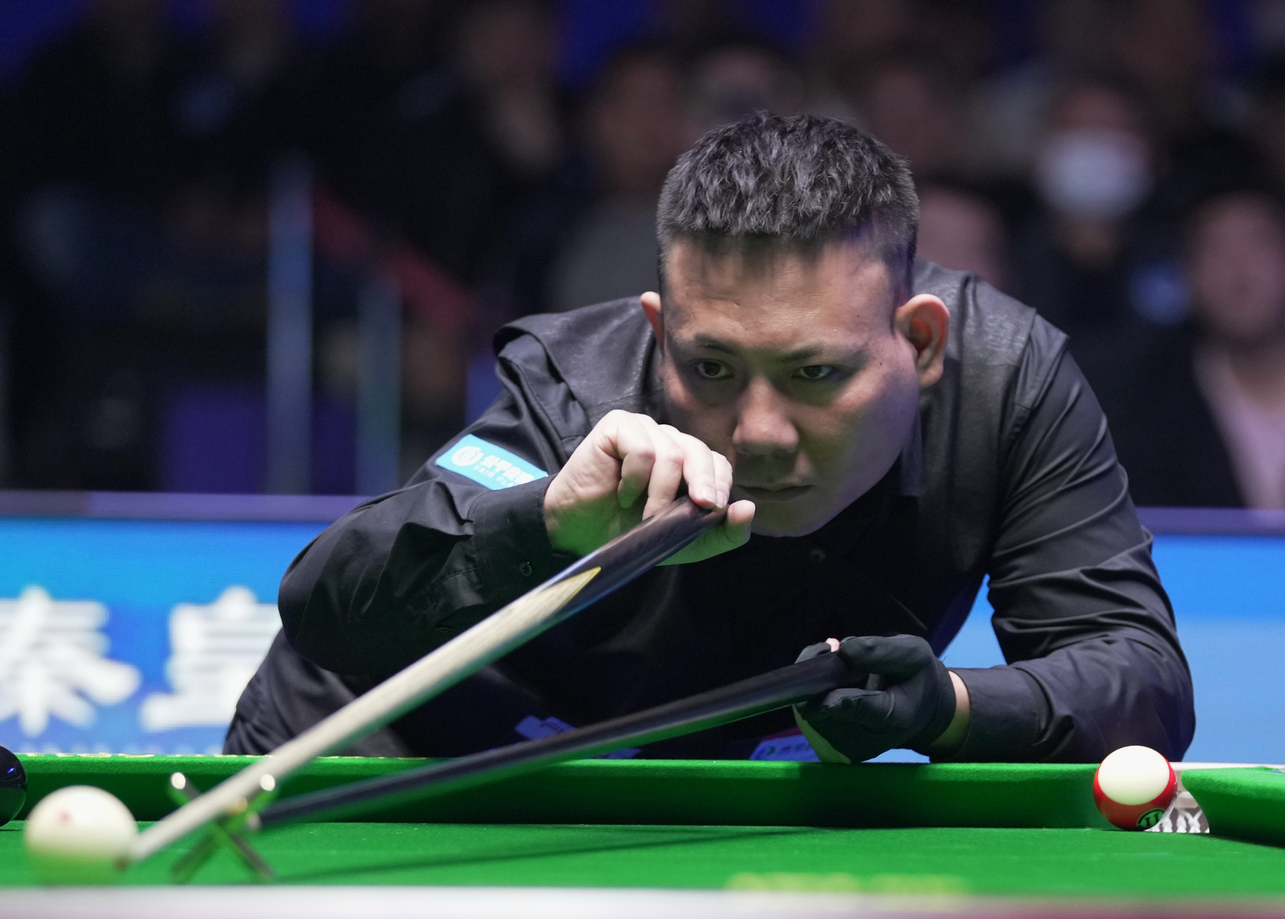 他们的选择 他们的选择