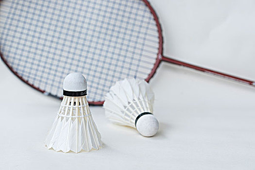 主帅和球员 主帅和球员